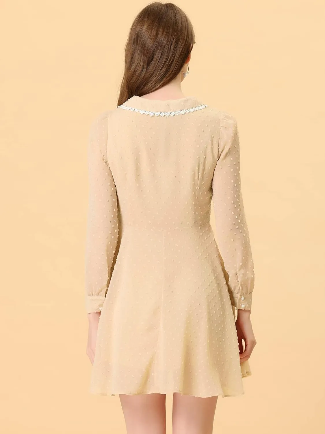 Allegra K Women's Peter Pan Collar Crochet Trim Long Sleeve Swiss Dots Retro Mini Dress