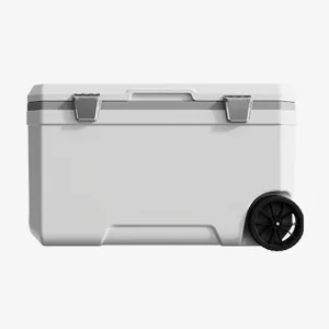 Car Camping Coolers for BMW i3/i8/Isetta/Z1/Z3/Z8/E3/E9, Waterproof Portable Cooler, Leak Proof Picnic Insulated Bag, Ultra-Light Premium Ice Chest Box,B-White-70L