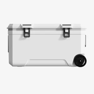 Car Camping Coolers for Lexus NX 350 F Sport HANDLING, Waterproof Portable Cooler, Leak Proof Picnic Insulated Bag, Ultra-Light Premium Ice Chest Box,B-White-120L
