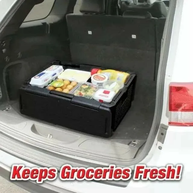 Car insulated cooler box Picnic insulated box