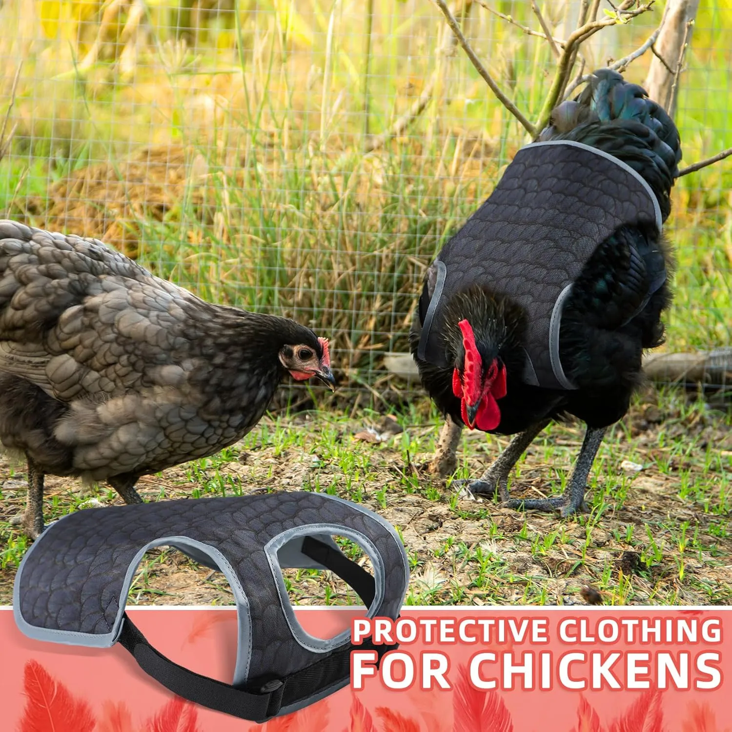 Chicken Saddles for hens, Chicken Apron Back Protector for Hens With Adjustable Strap, Chicken Hen Mating Saddle