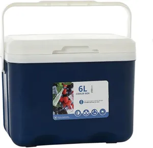 Cooler for Acura Legend/NSX/RL/RLX/RSX/SLX/TL/TSX/Vigor Insulated Hard Ice Box Large High-Performance Storage Box Portable Cool Picnic Box Festival Camping Accessories,B-27 * 18 * 23cm