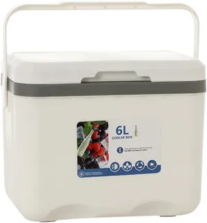 Cooler for Citro?n C1/C2/C3/C4/C5/C4 Cactus/C4 Picasso/C5 Aircross Insulated Hard Ice Box Large High-Performance Storage Box Portable Cool Picnic Box Festival Camping,A-27 * 18 * 23cm