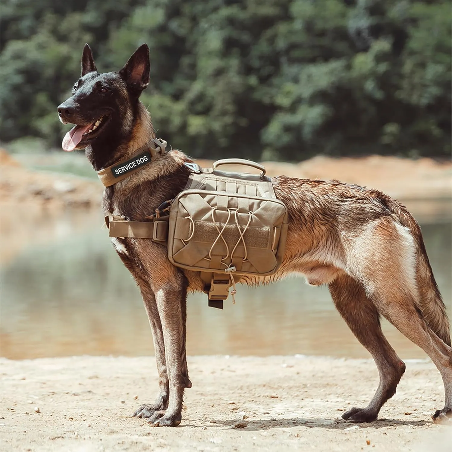 EXCELLENT ELITE SPANKER Dog Pack Hound Dog Saddle Bag Backpack for Travel Camping Hiking Medium & Large Dog with 2 Capacious Side Pockets(Black-L)