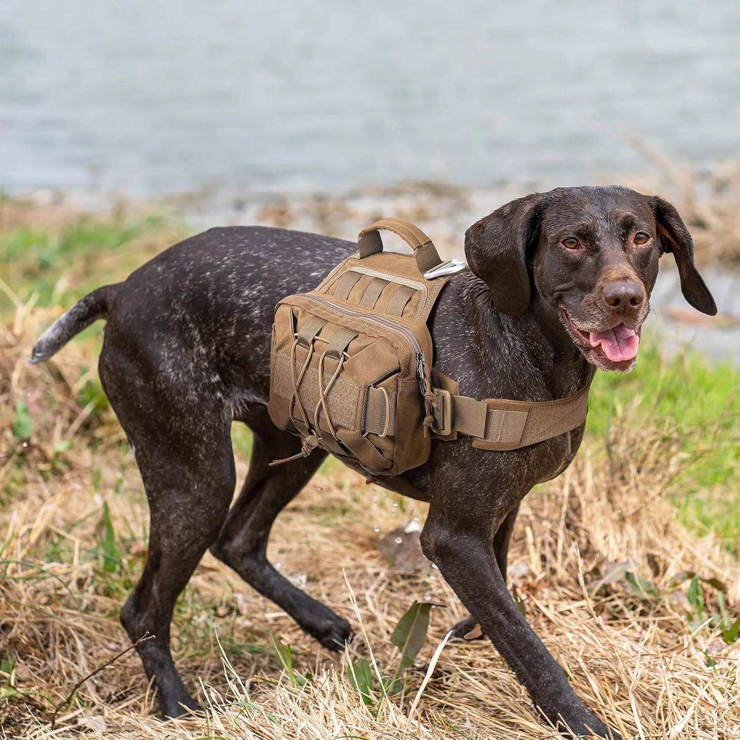 EXCELLENT ELITE SPANKER Dog Pack Hound Dog Saddle Bag Backpack for Travel Camping Hiking Medium & Large Dog with 2 Capacious Side Pockets(Black-L)