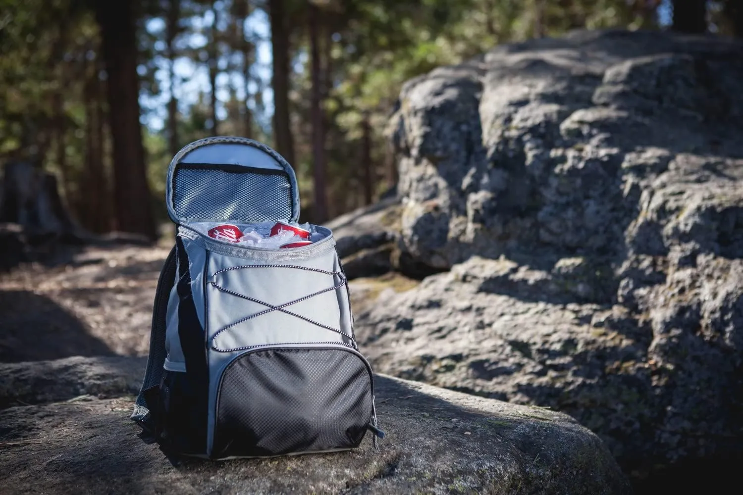 PICNIC TIME NHL Unisex-Adult NHL PTX Backpack Cooler