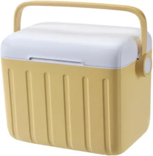 pistro Insulated Cooler Box 6L Portable Ice Chest for Travel Outdoor Camping BBQ Boat Picnic Cream Yellow