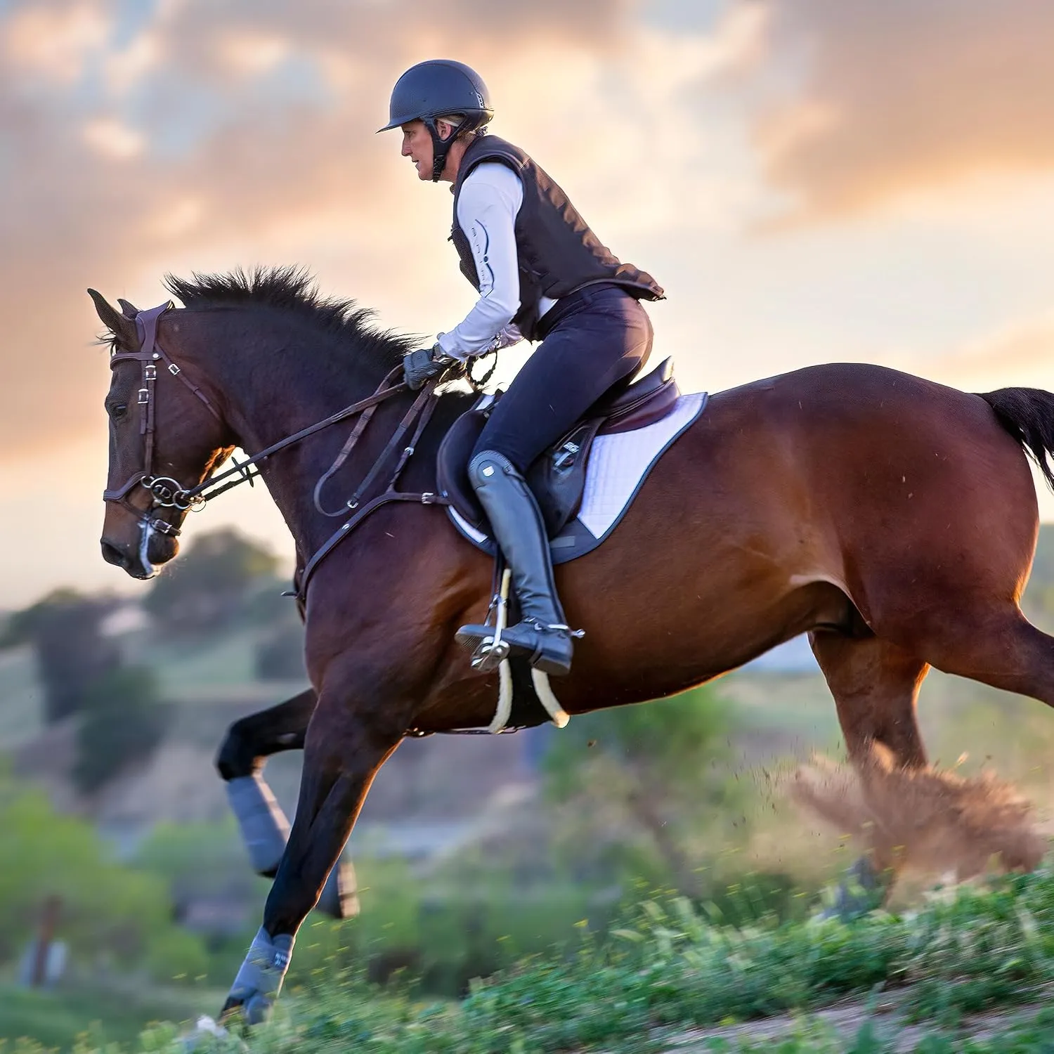 Professional's Choice Saddle Pad | VenTech XC Cross Country Quilt EP500