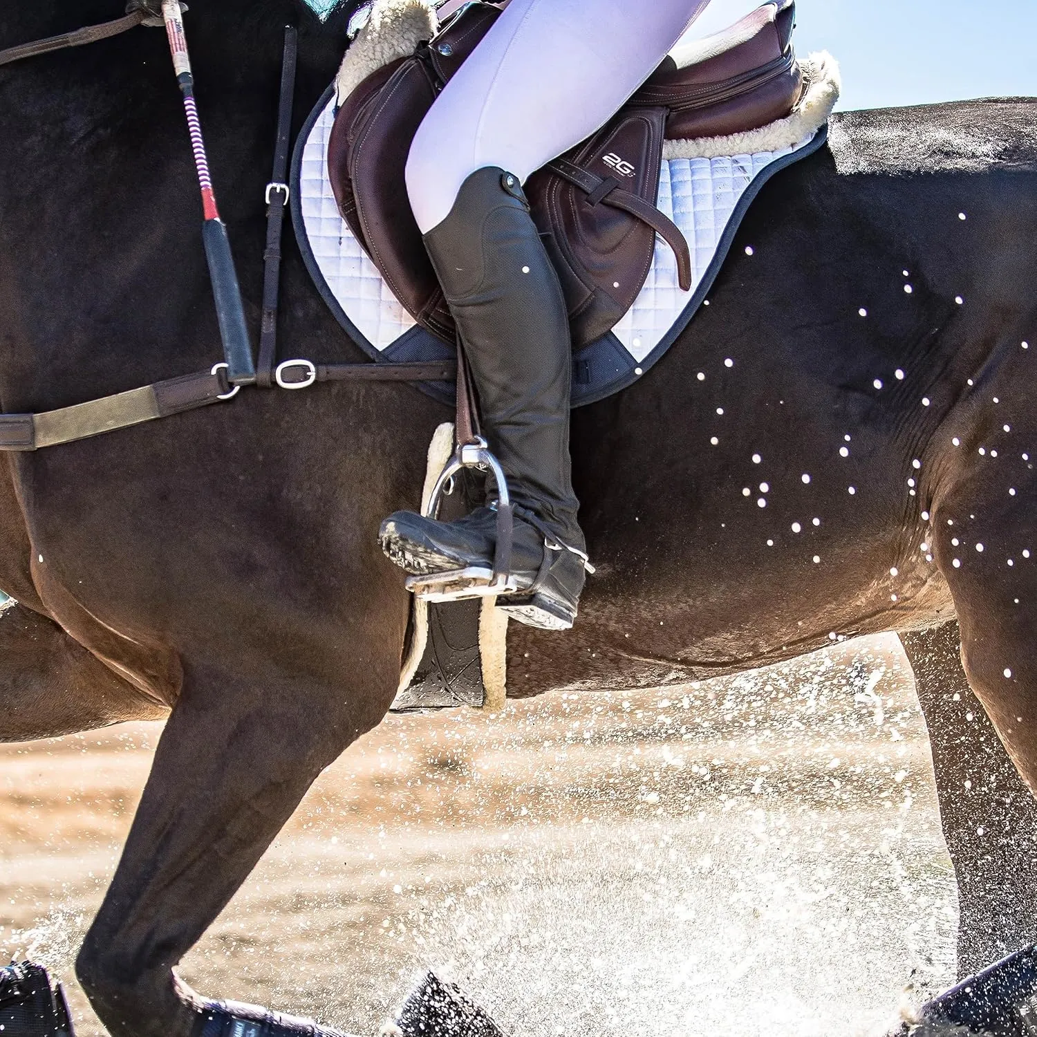 Professional's Choice Saddle Pad | VenTech XC Cross Country Quilt EP500