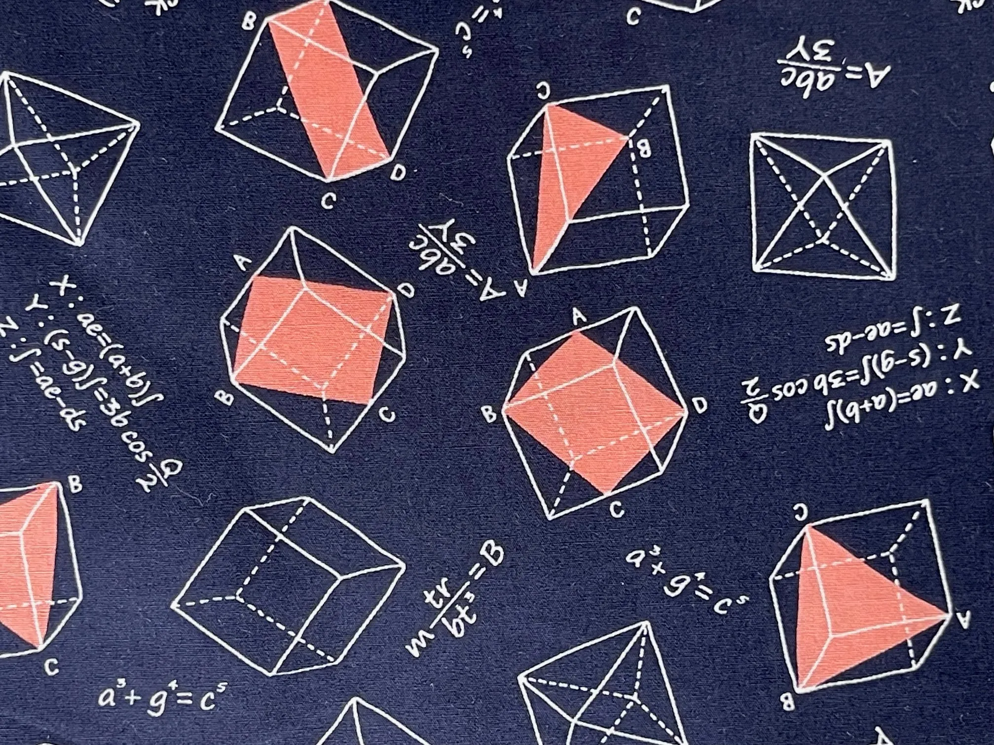 The Geometer's Dream Cotton (Made in Japan)